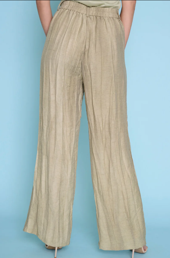 Picadilly Pleated Pant